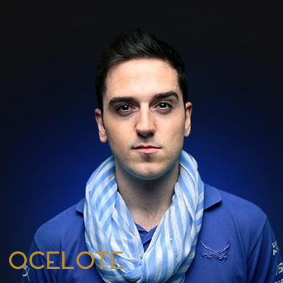 ocelote